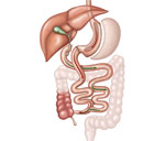 Cirurgia bariátrica bypass